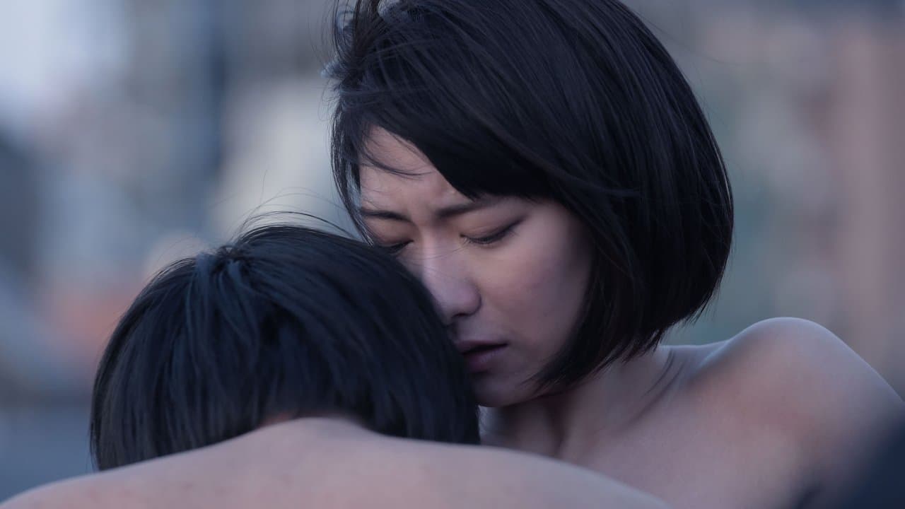 Backdrop – Dawn of the Felines