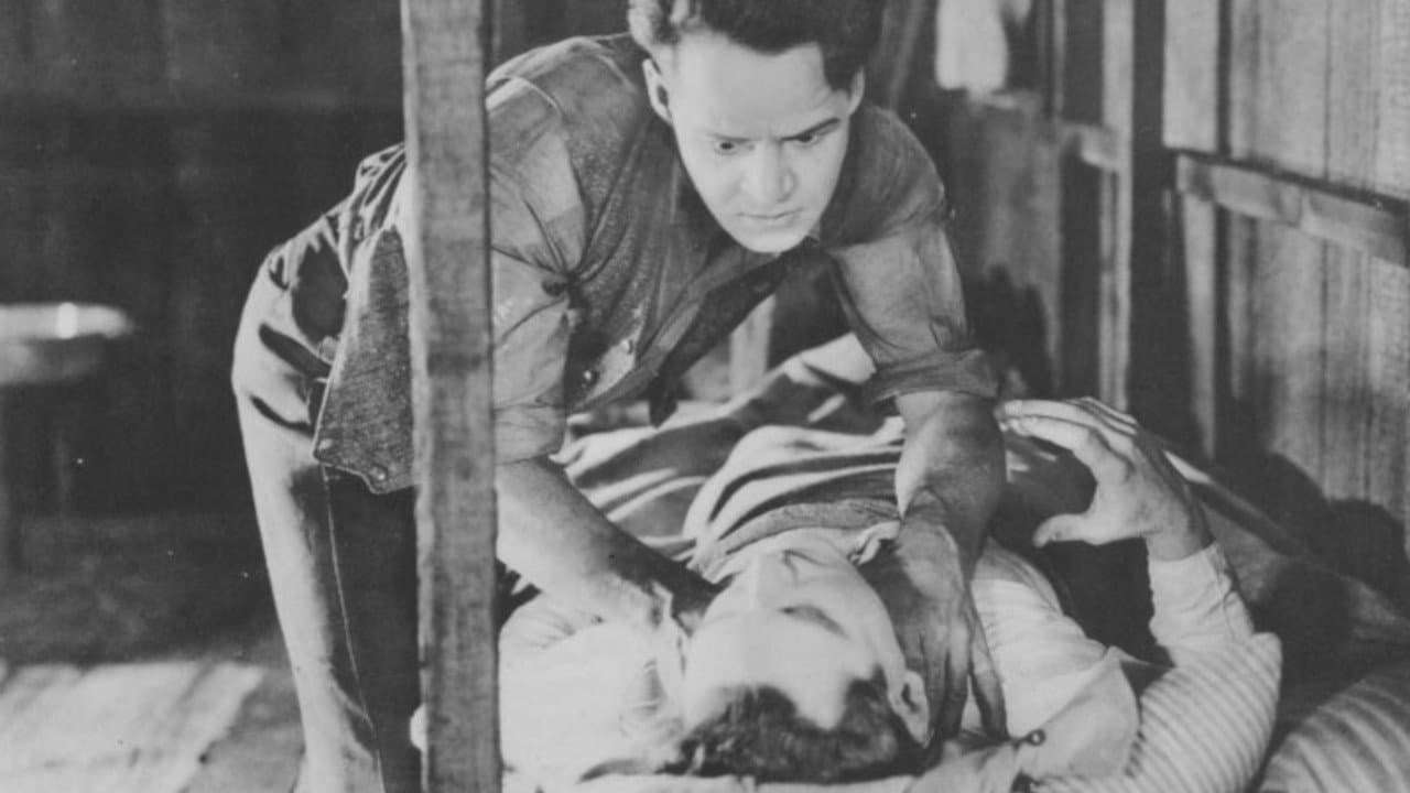 Backdrop – The Crusader