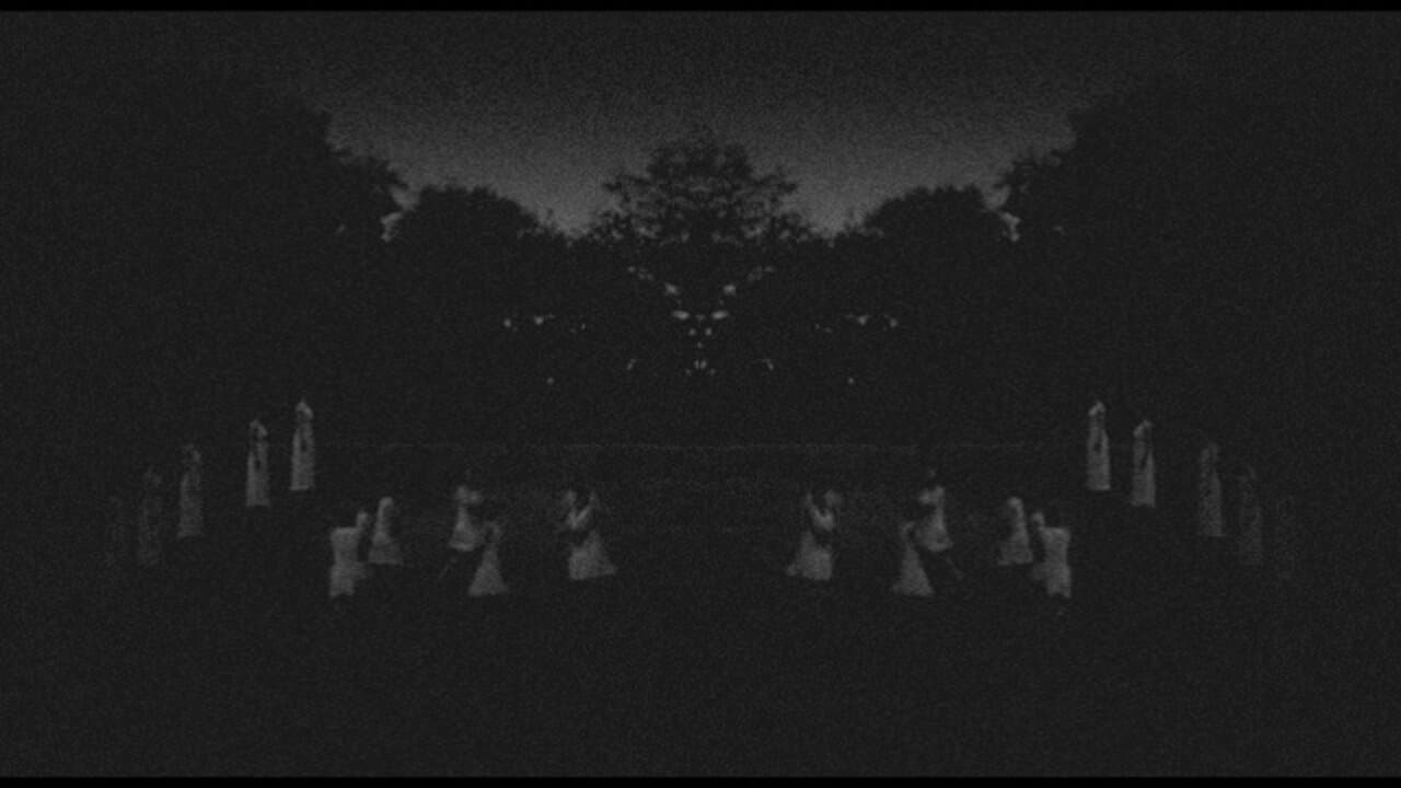 Backdrop – Pandora