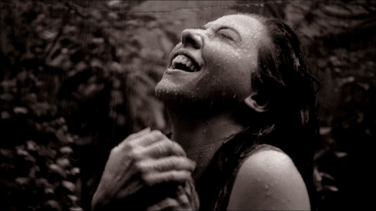 Backdrop – Cinema Novo