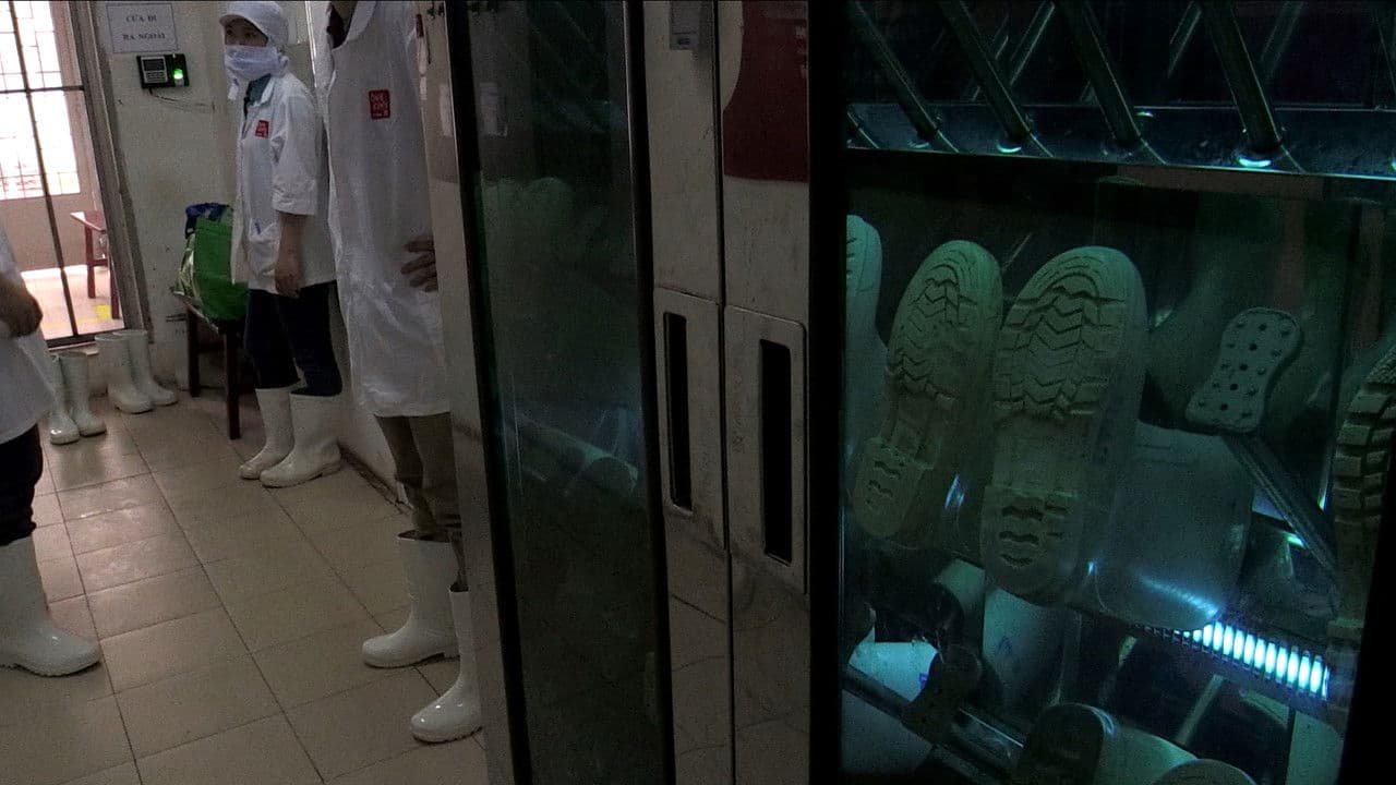 Backdrop – Ho Chi Minh Kim Chi