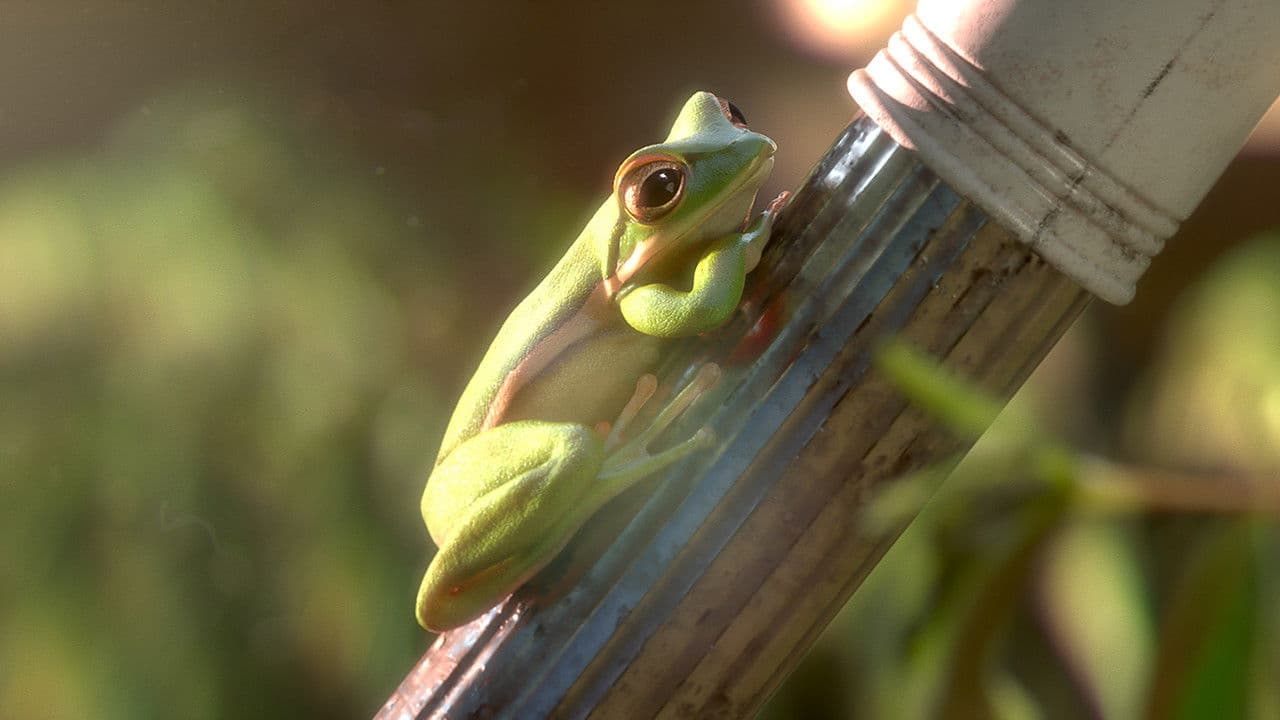 Backdrop – Garden Party