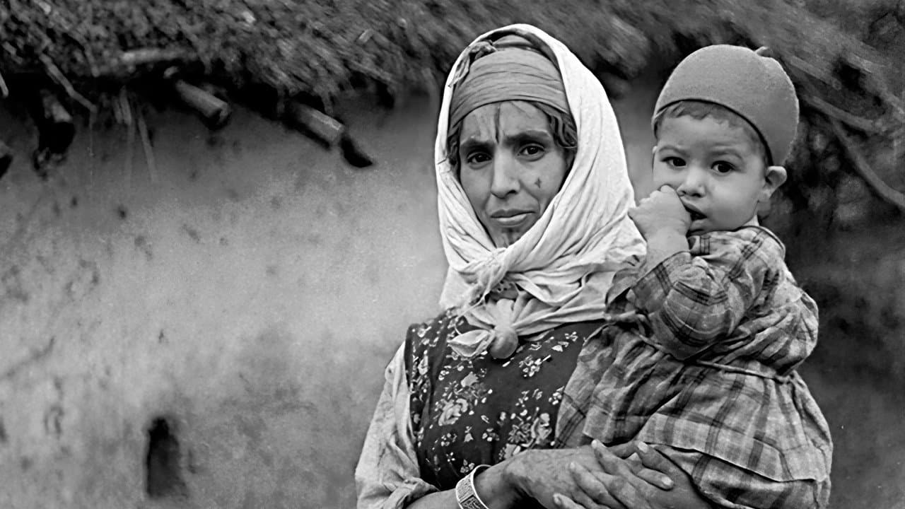 Backdrop – Montagne Égarée