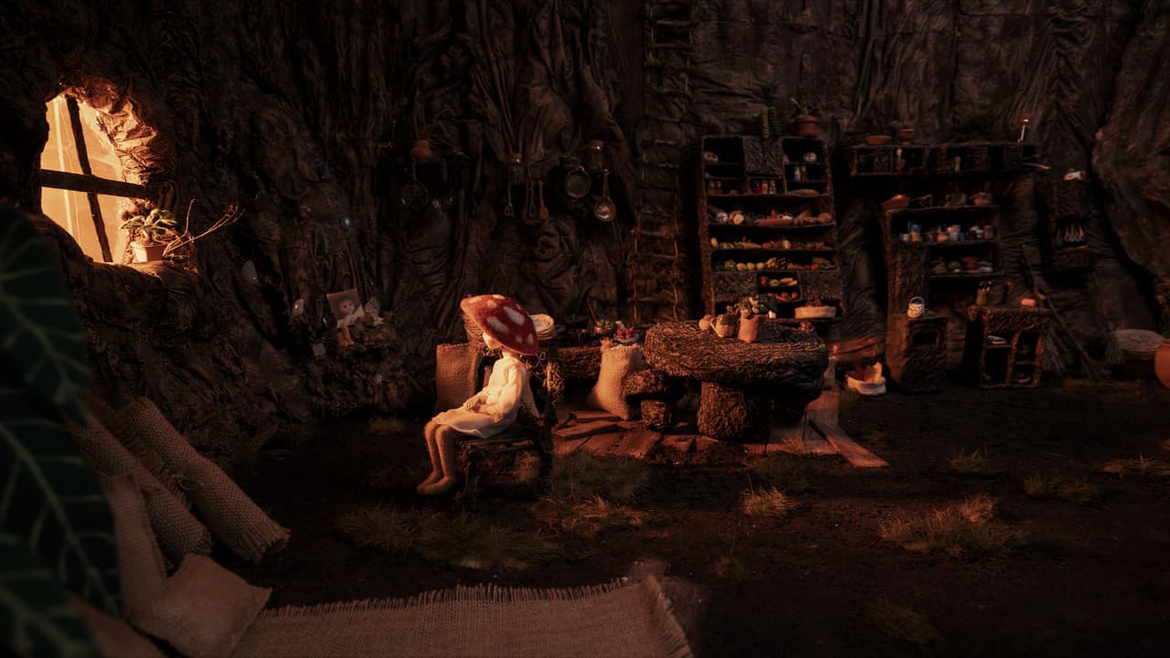 Backdrop – Amanita