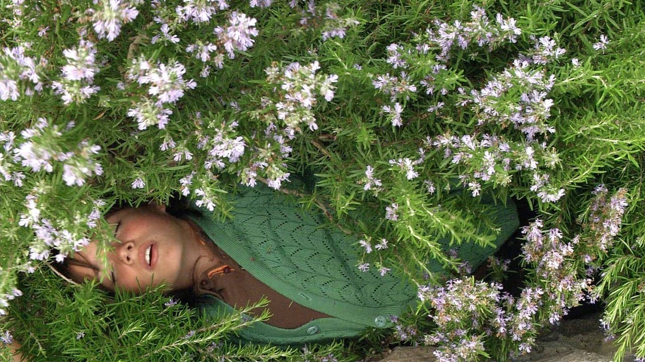 Backdrop – Times and Winds