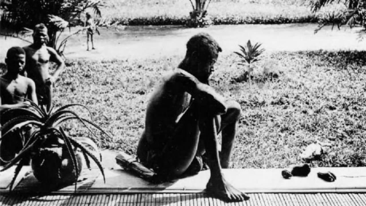 Backdrop – Congo: White King, Red Rubber, Black Death