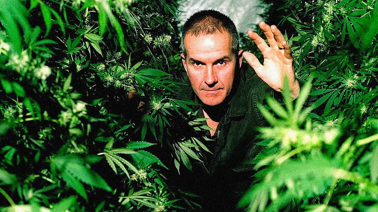 Backdrop – Cannabis: The Evil Weed?