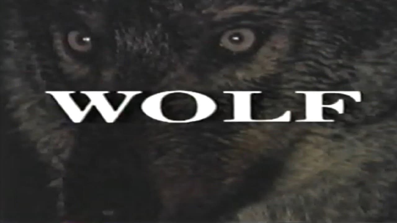 Backdrop – Predators of the Wild: Wolf