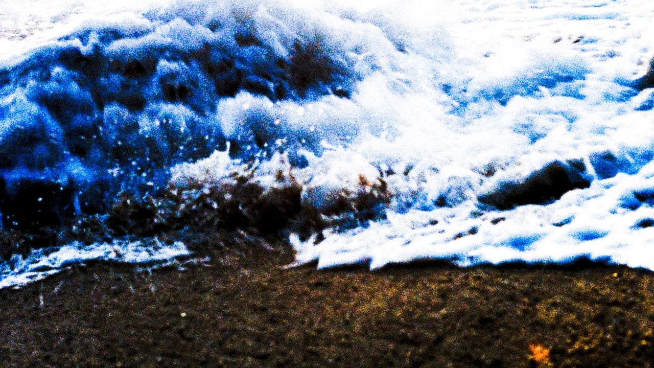 Backdrop – Ciudad con Sueños de Mar