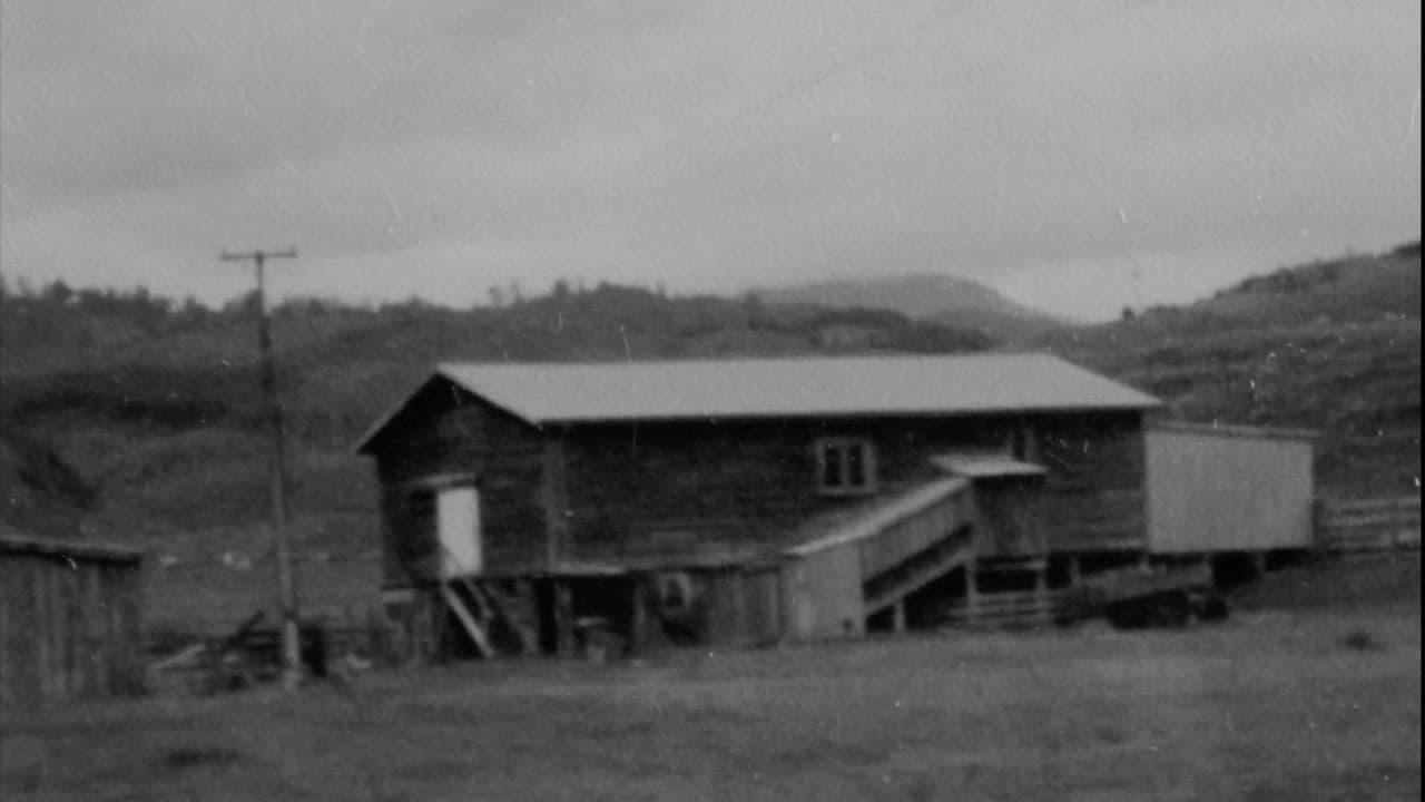 Backdrop – Nightshave