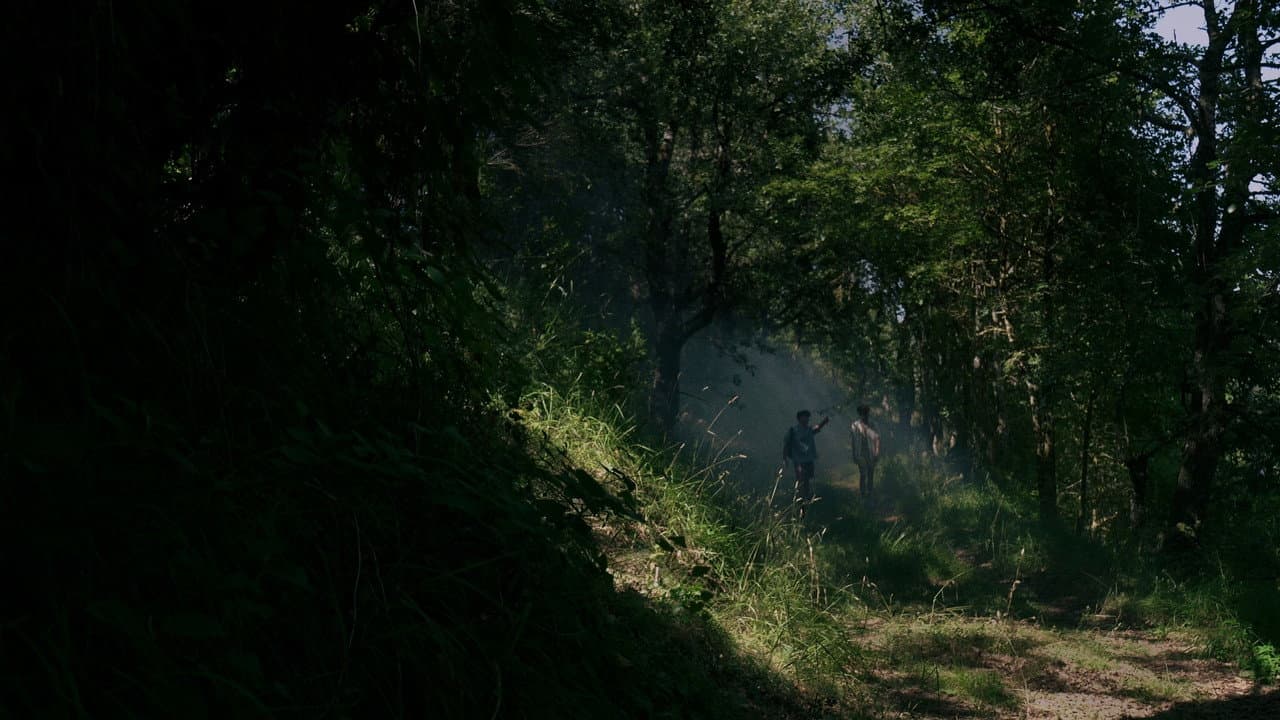 Backdrop – Lamietxe (La casa de Lamia)