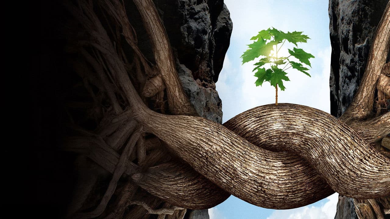 Backdrop – Intelligente Bäume