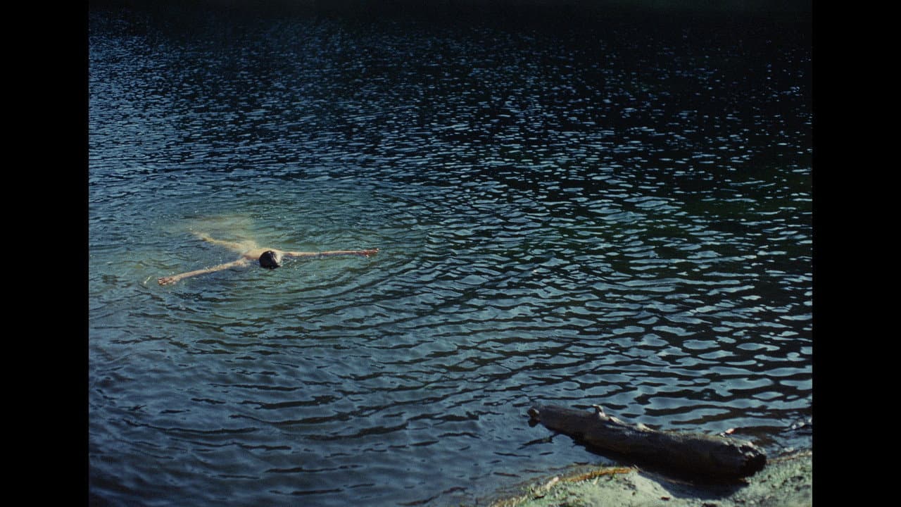 Backdrop – Tinskani