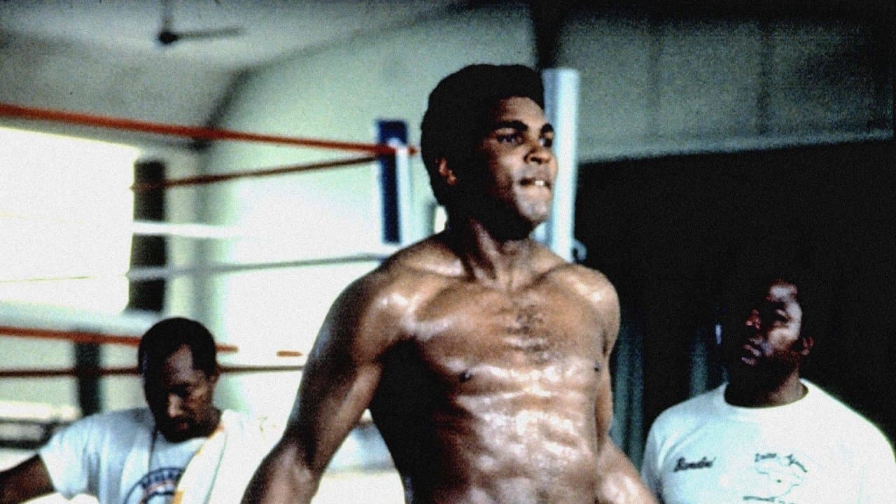 Backdrop – When We Were Kings