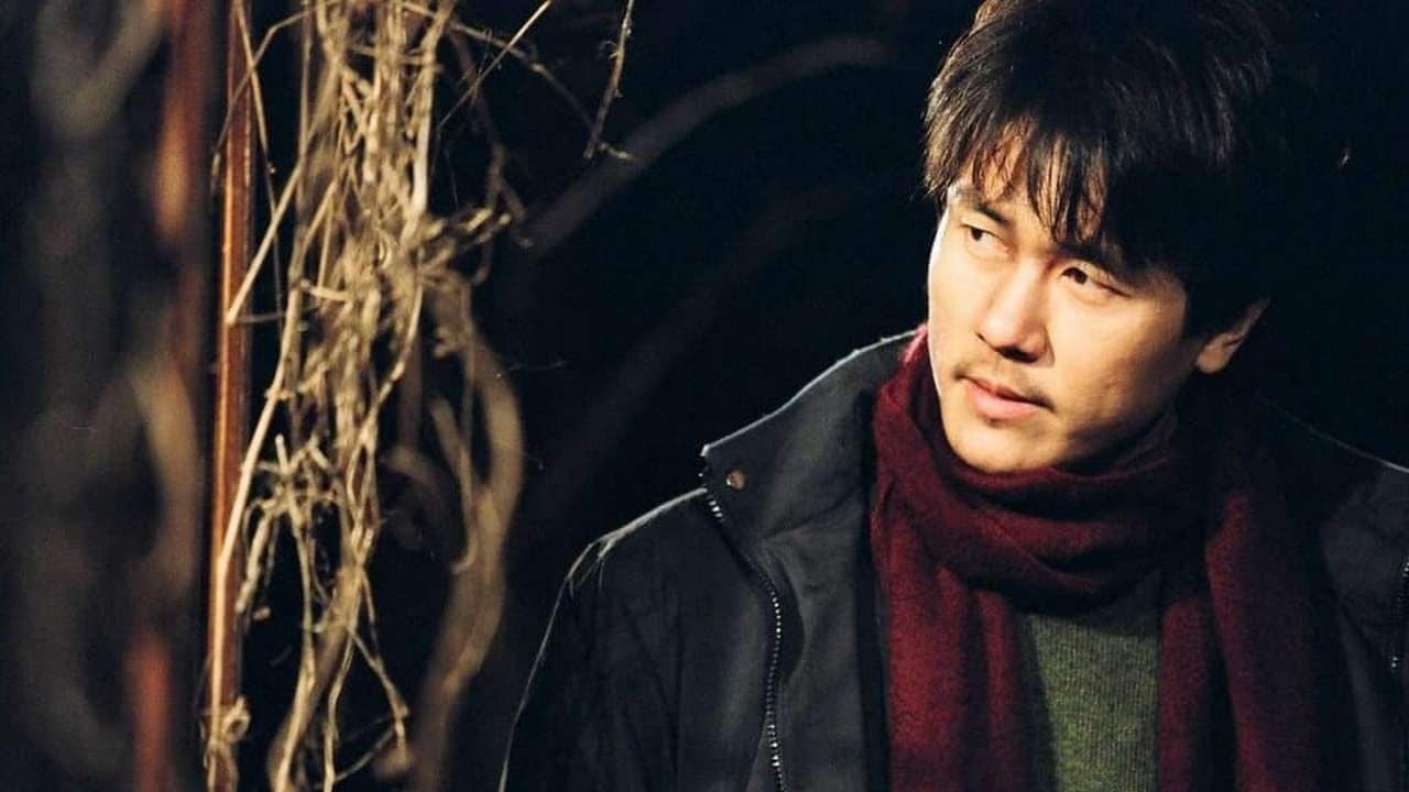 Backdrop – Spider Forest - Wald der verlorenen Seelen