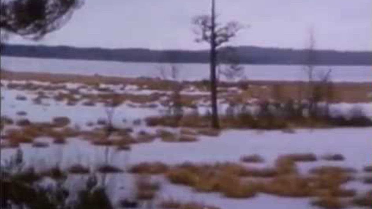 Backdrop – По прямой