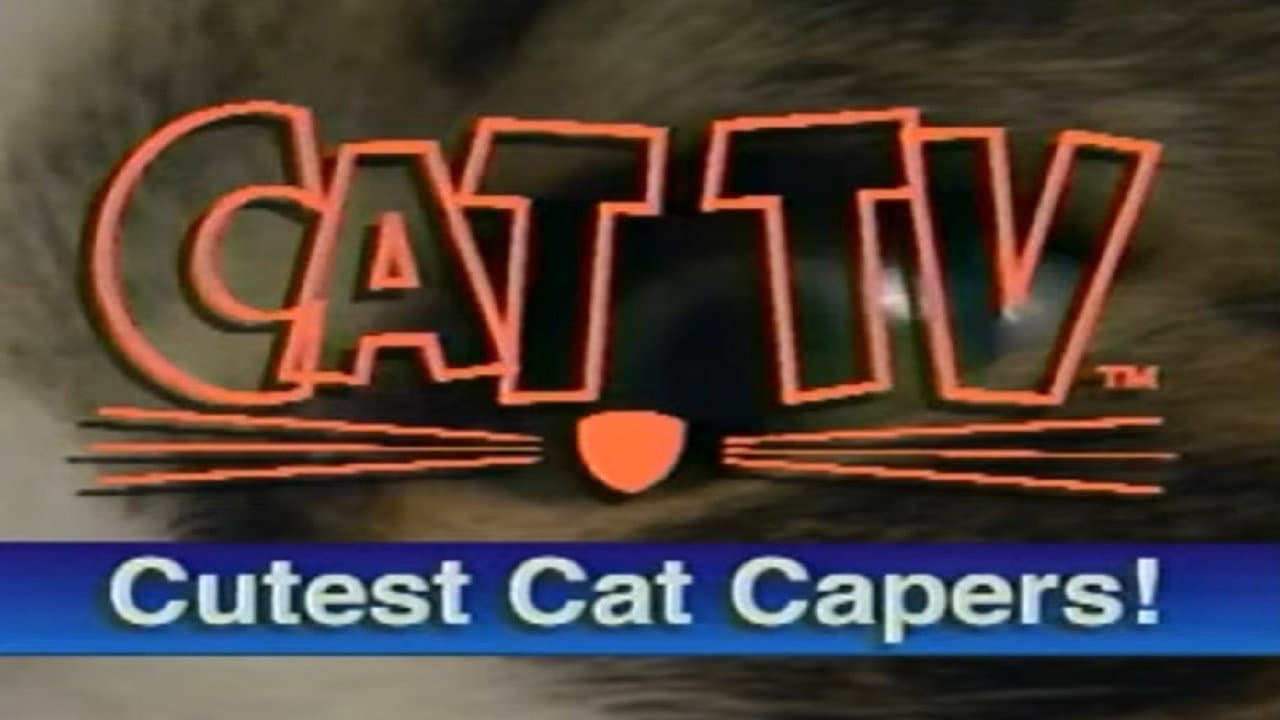 Backdrop – Cutest Cat Capers