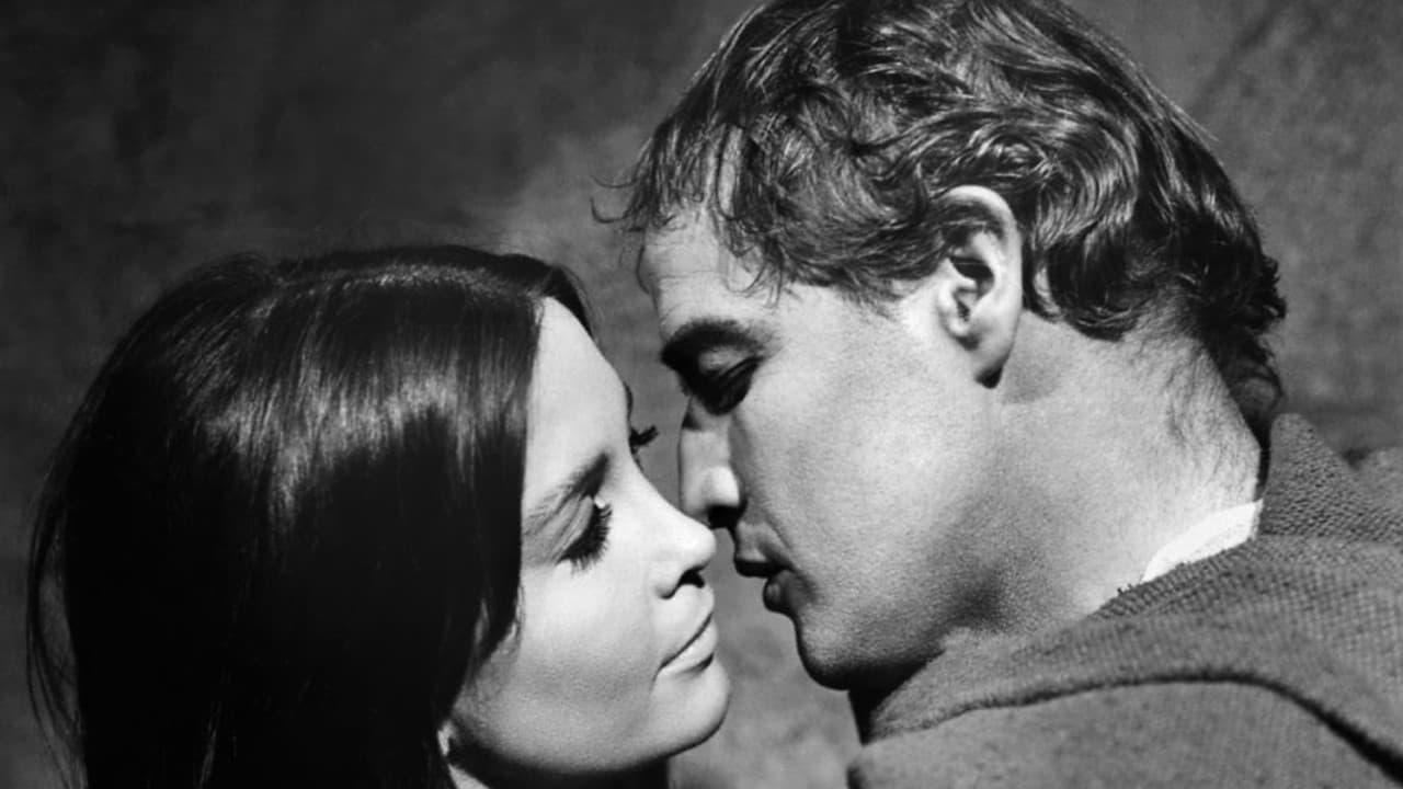 Backdrop – Südwest nach Sonora