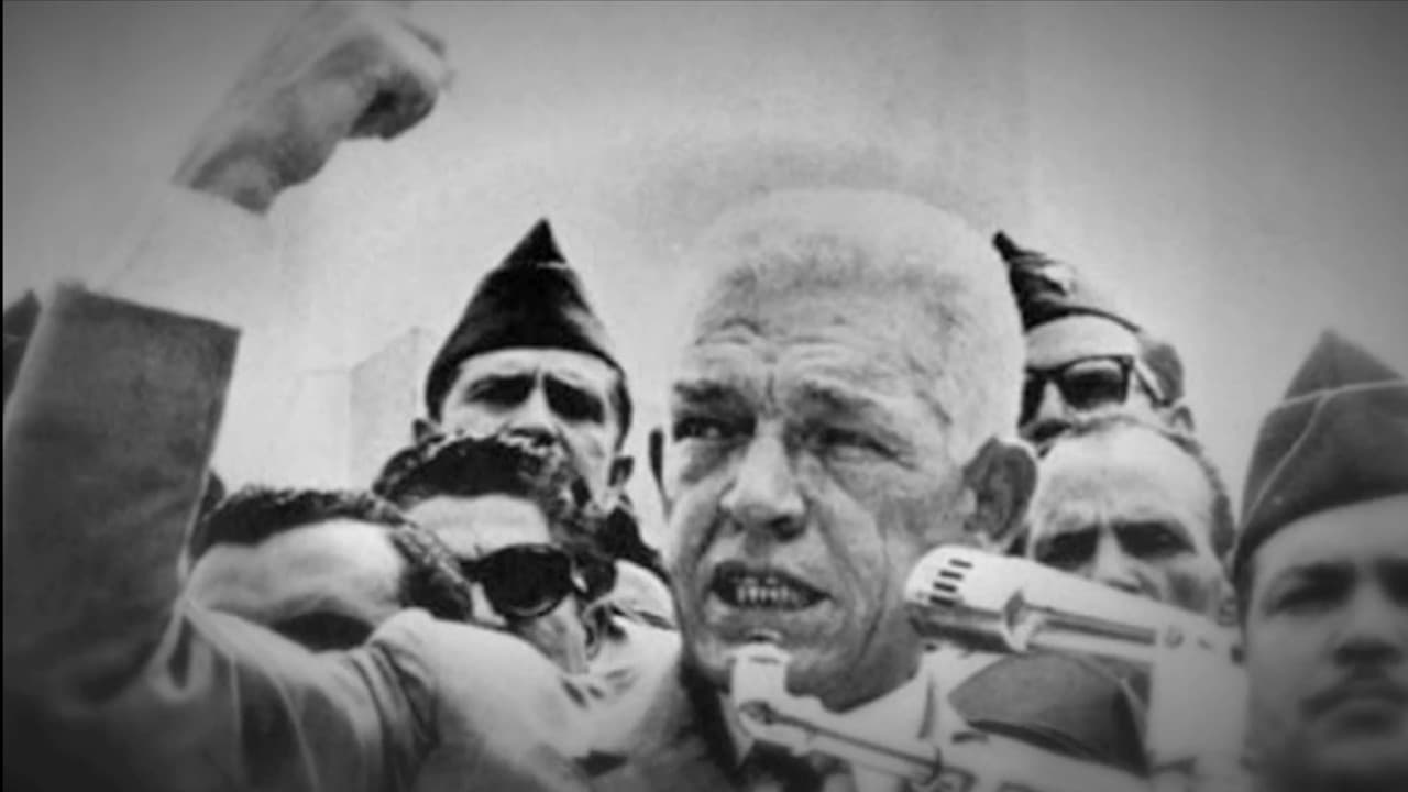 Backdrop – 7 meses y un Gaviño