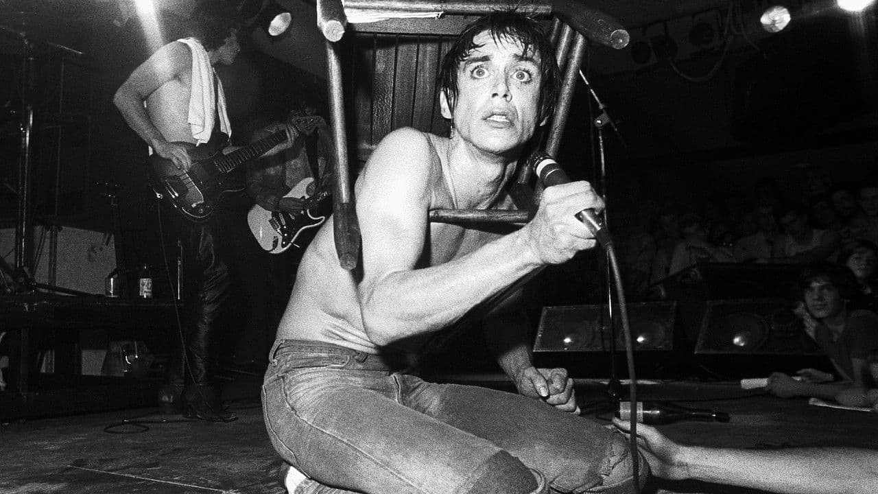 Backdrop – Iggy Pop: Live San Fran 1981