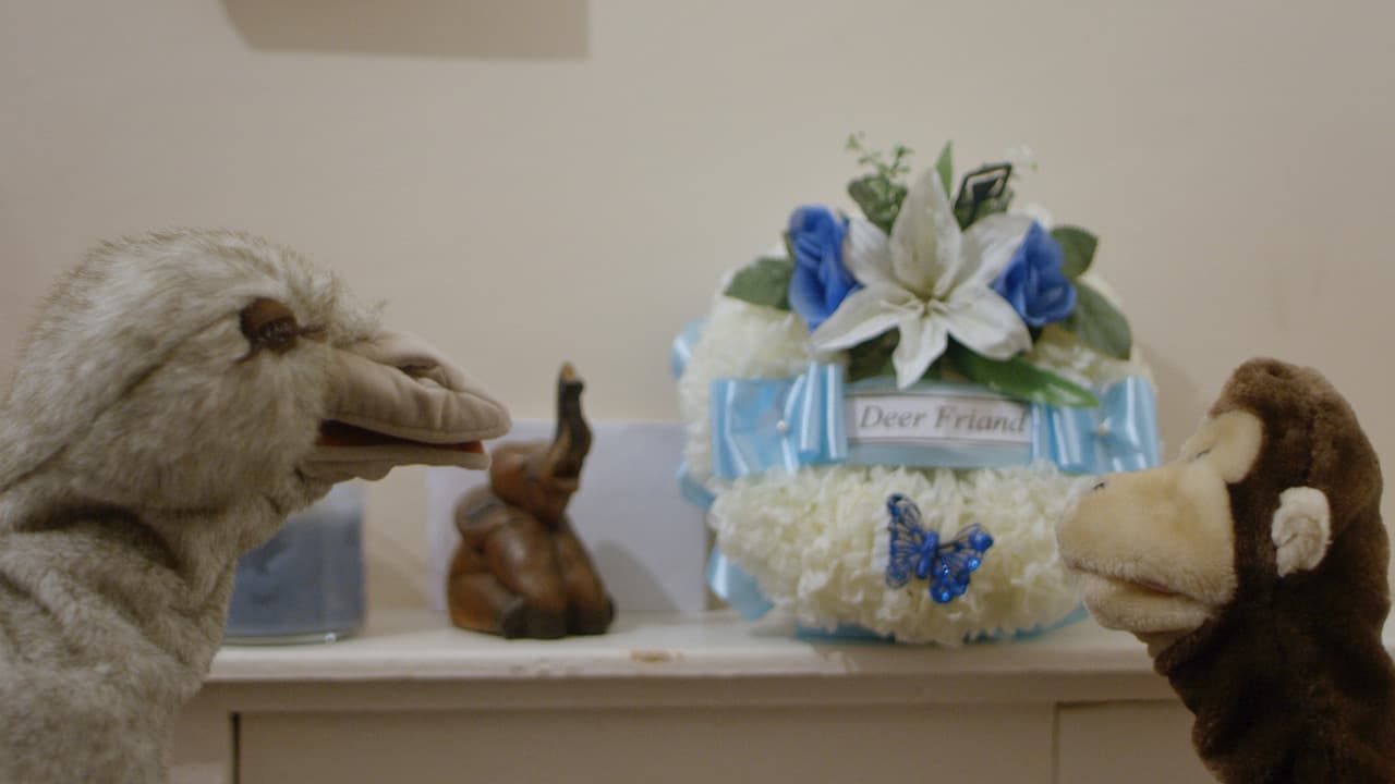 Backdrop – Autumn Never Dies