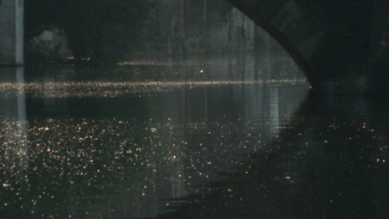 Backdrop – Bruges-La-Morte