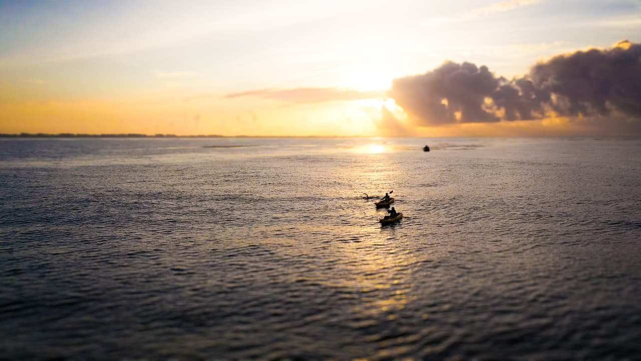 Backdrop – The Grand Swim