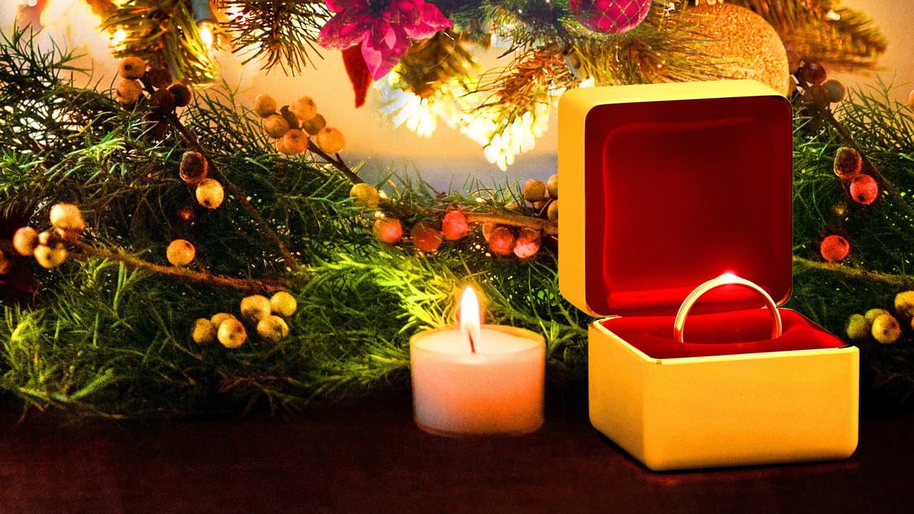 Backdrop – A Christmas Proposal