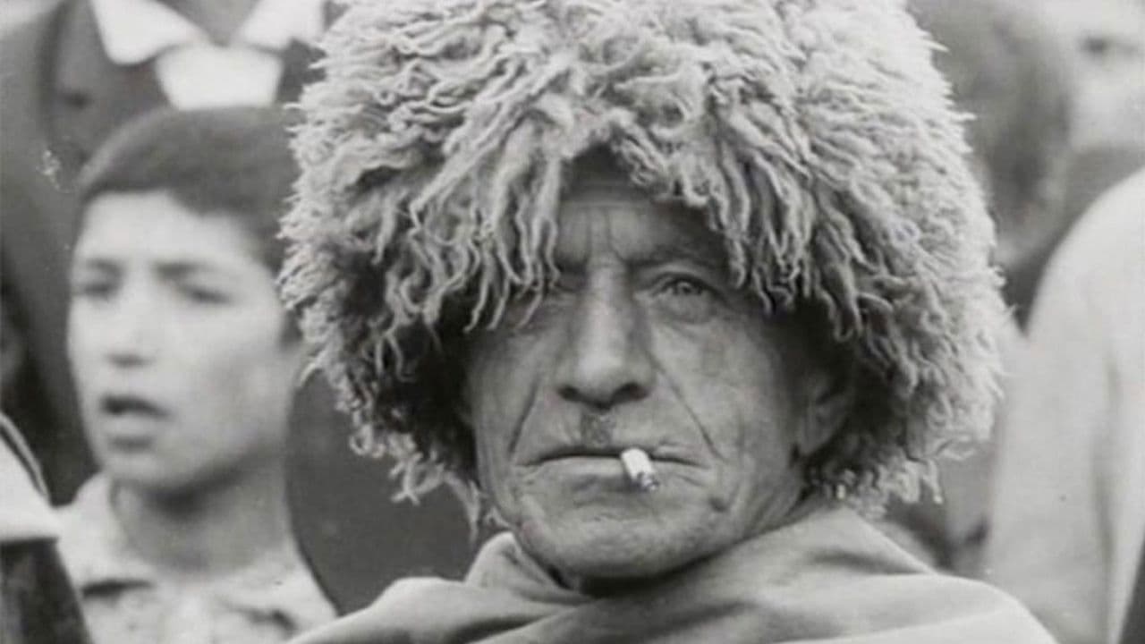 Backdrop – Времена года