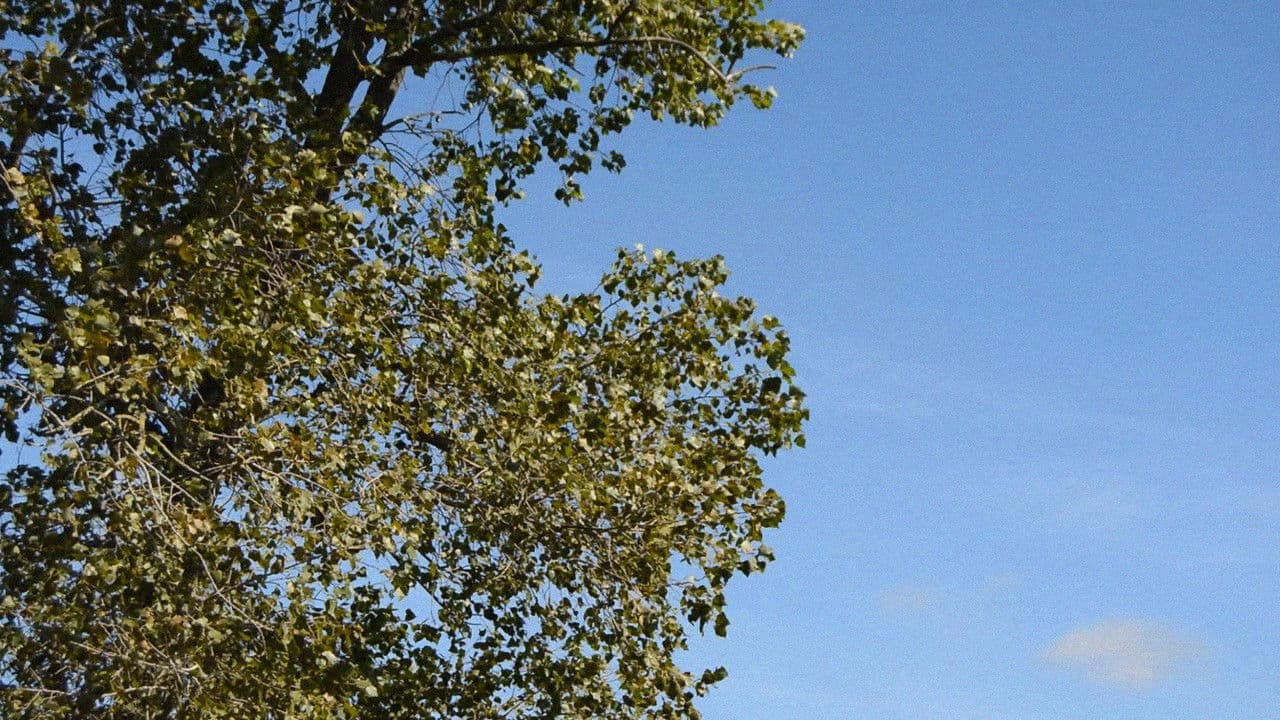 Backdrop – Ekvilibrium