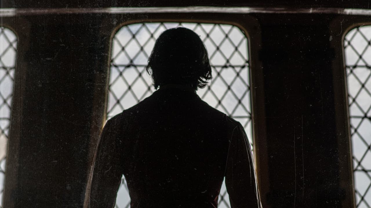 Backdrop – Sincerely, Hook