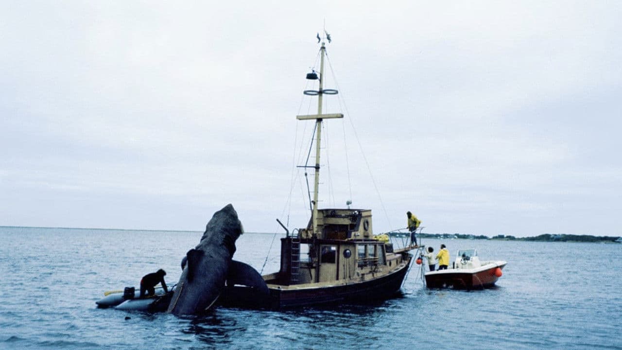 Backdrop – In the Teeth of Jaws