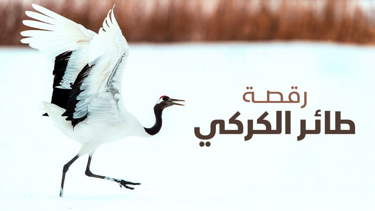 Backdrop – رقصة طائر الكركي
