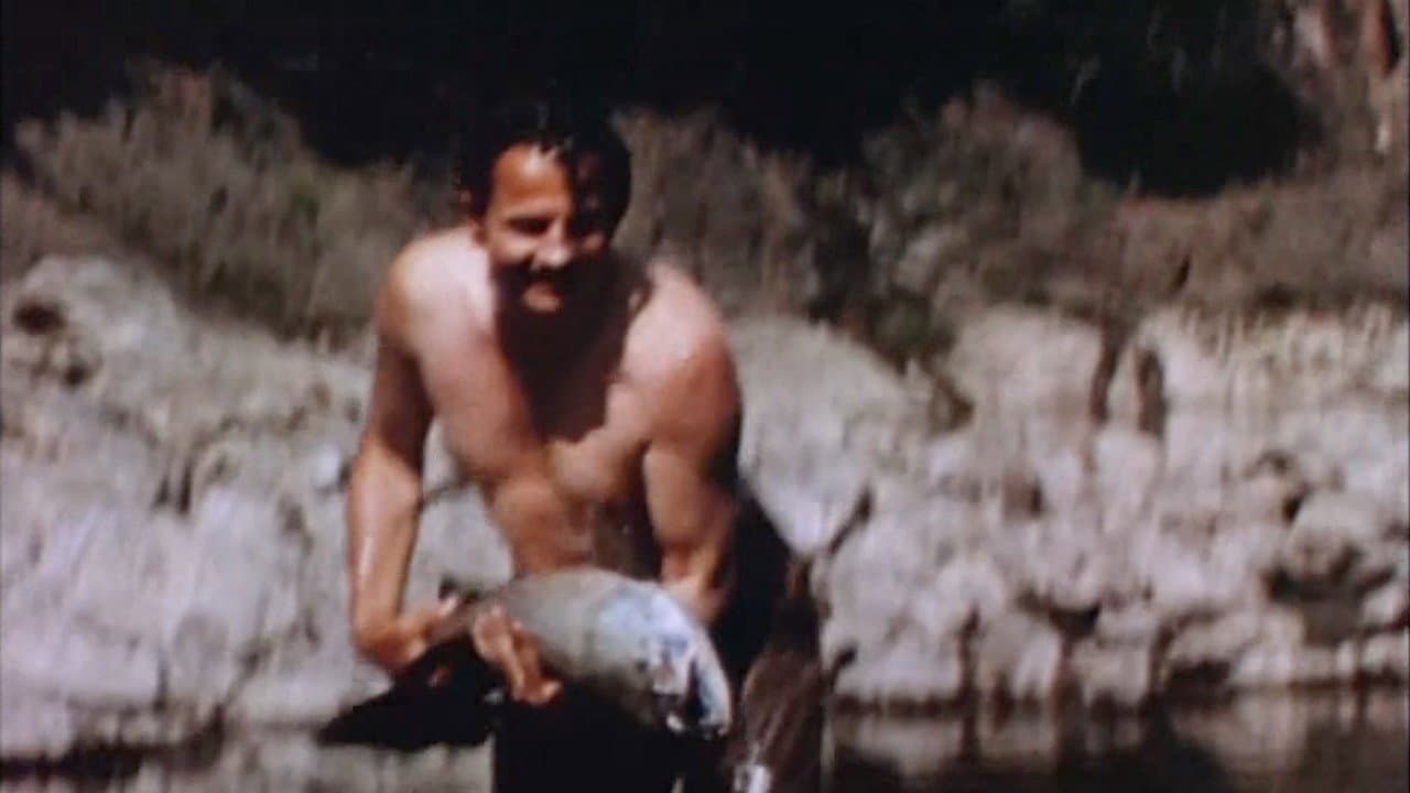 Backdrop – Fish Tales