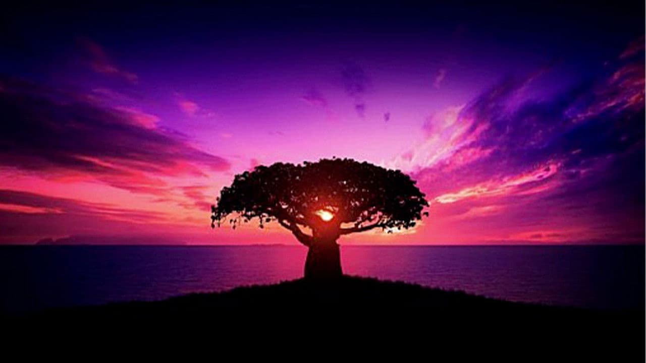 Backdrop – Dis-moi ta classe je te dirai qui tuer