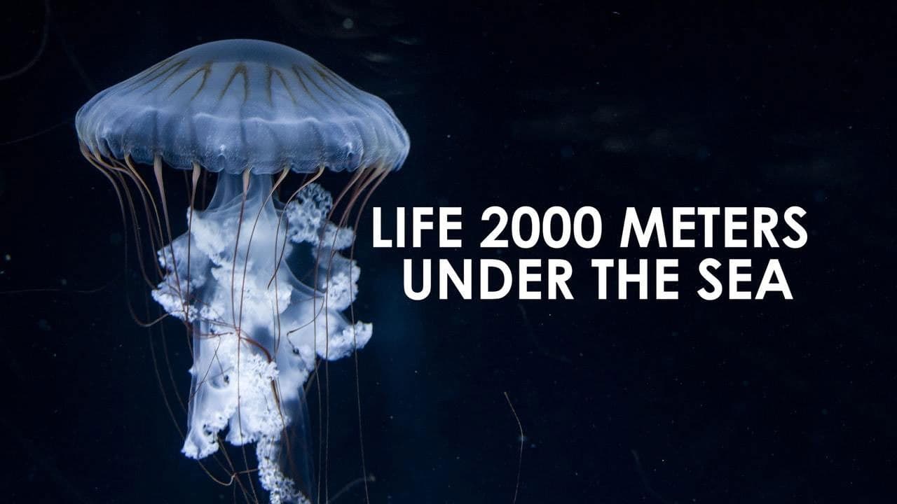 Backdrop – Life 2,000 Meters Under the Sea