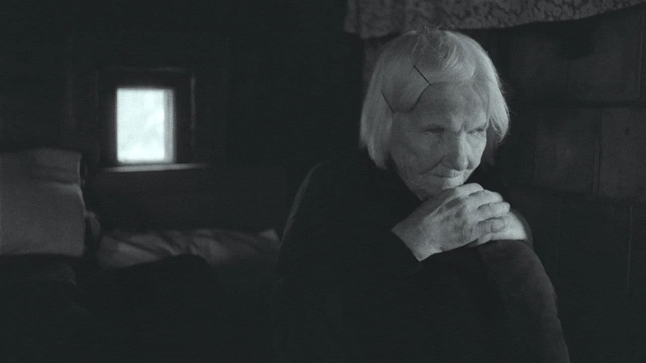 Backdrop – Neregių žemė