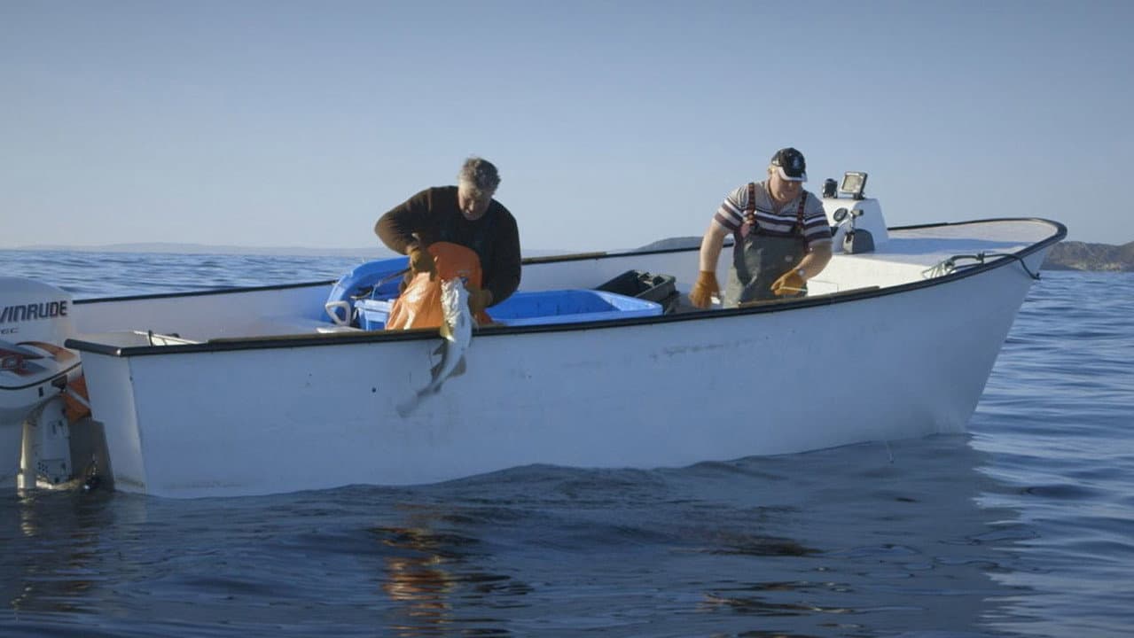 Backdrop – HAND. LINE. COD.