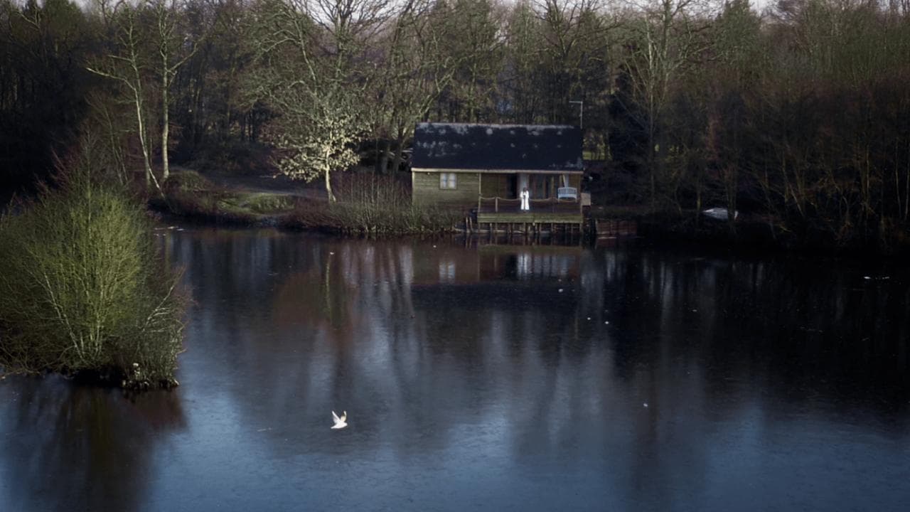 Backdrop – House on Elm Lake