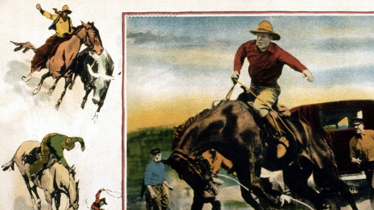 Backdrop – Painted Ponies