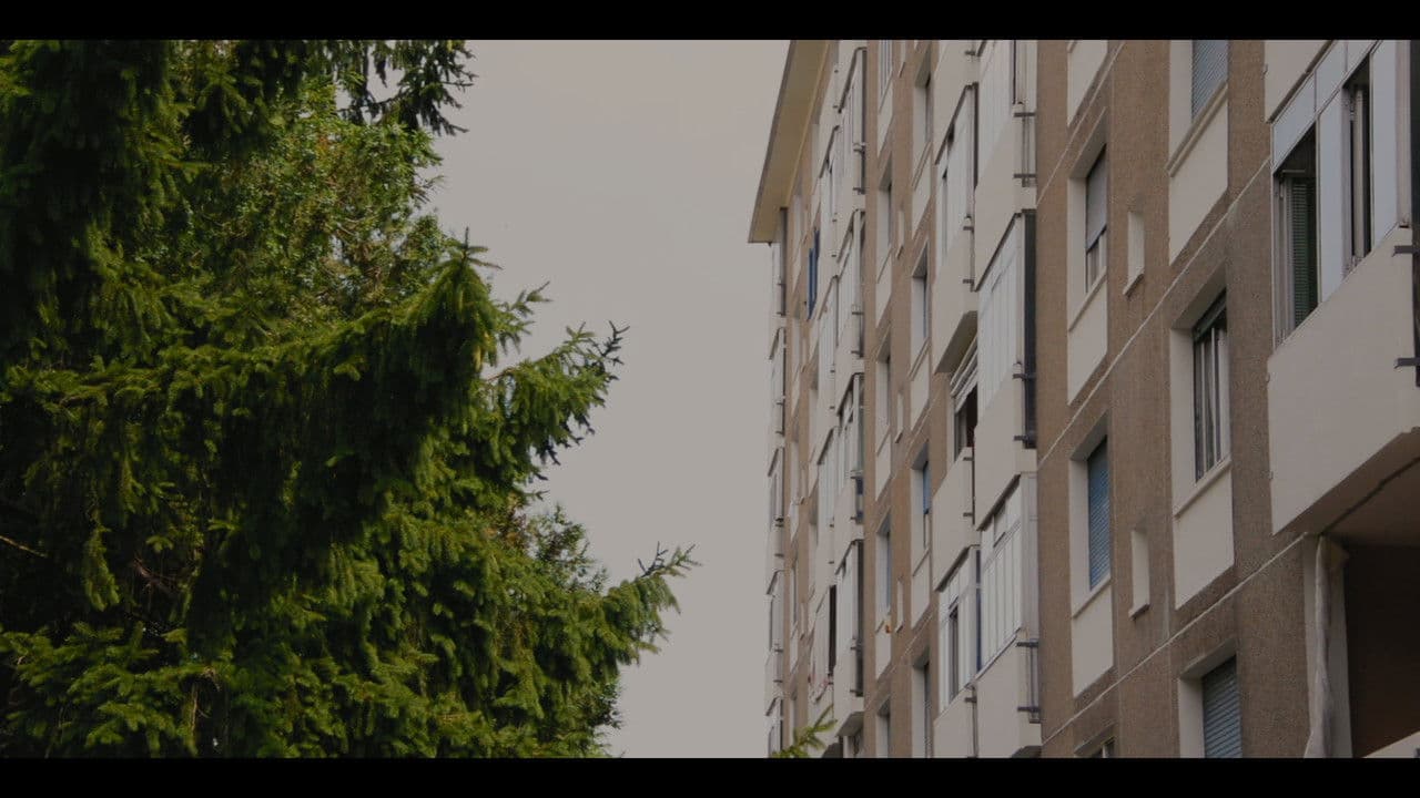 Backdrop – Mira-futuro