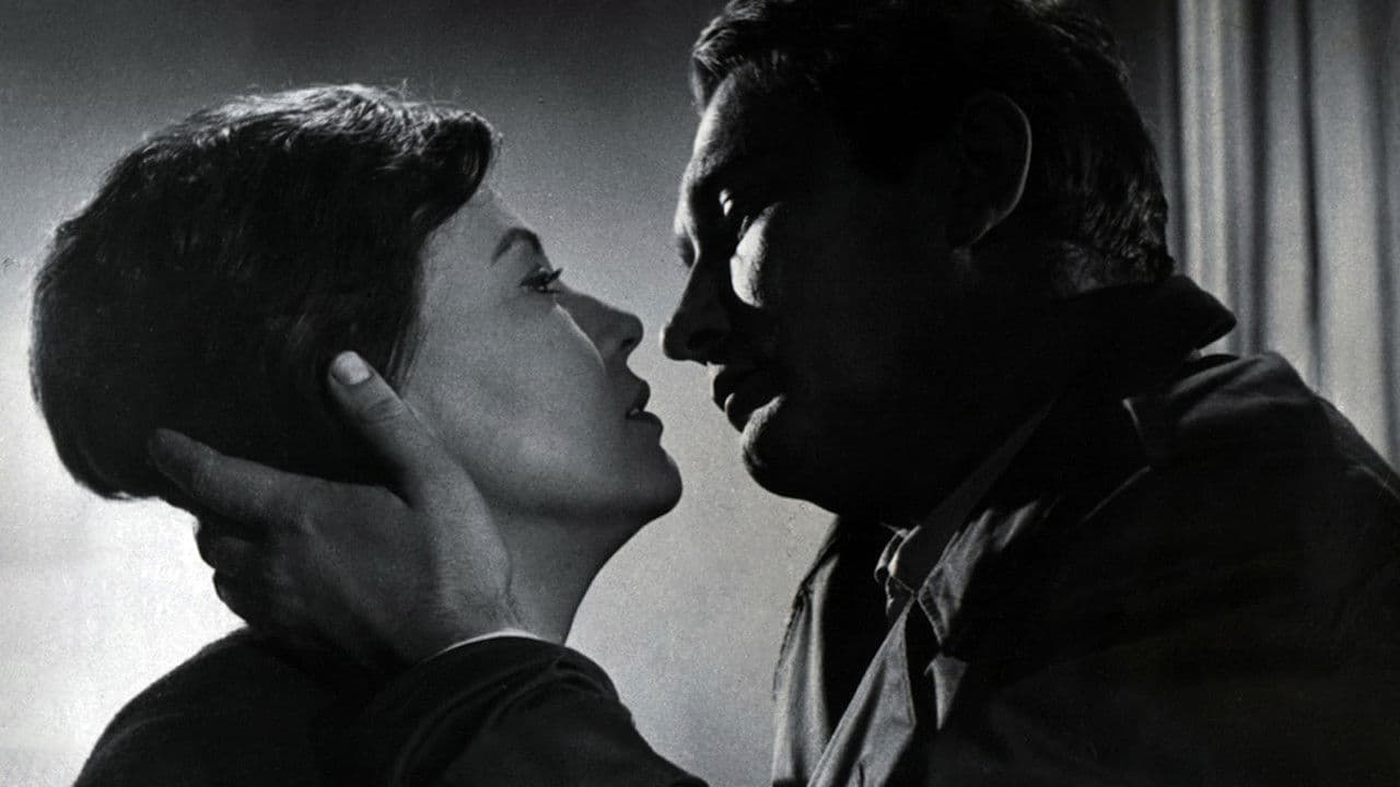 Backdrop – Dan četrnaesti