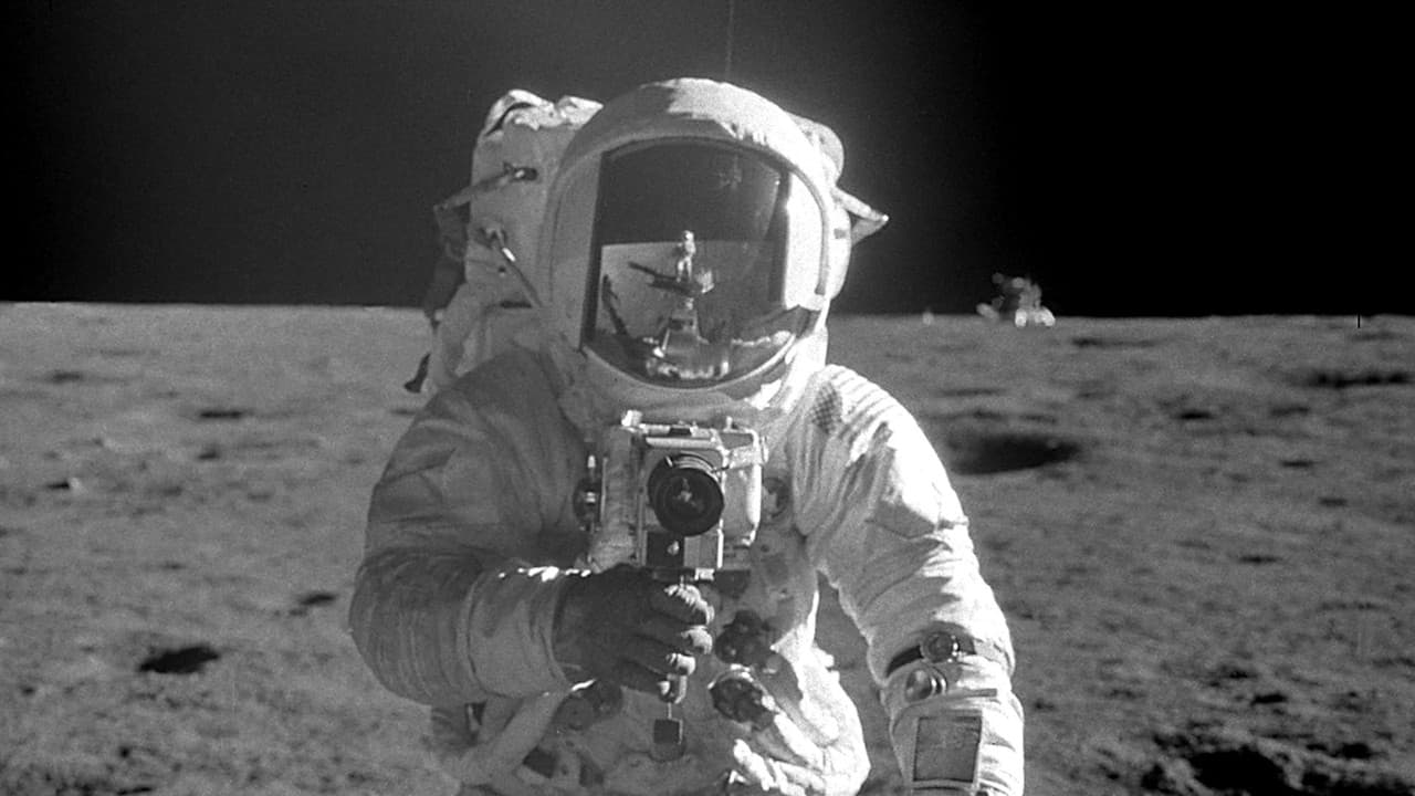 Backdrop – The Wonder of It All