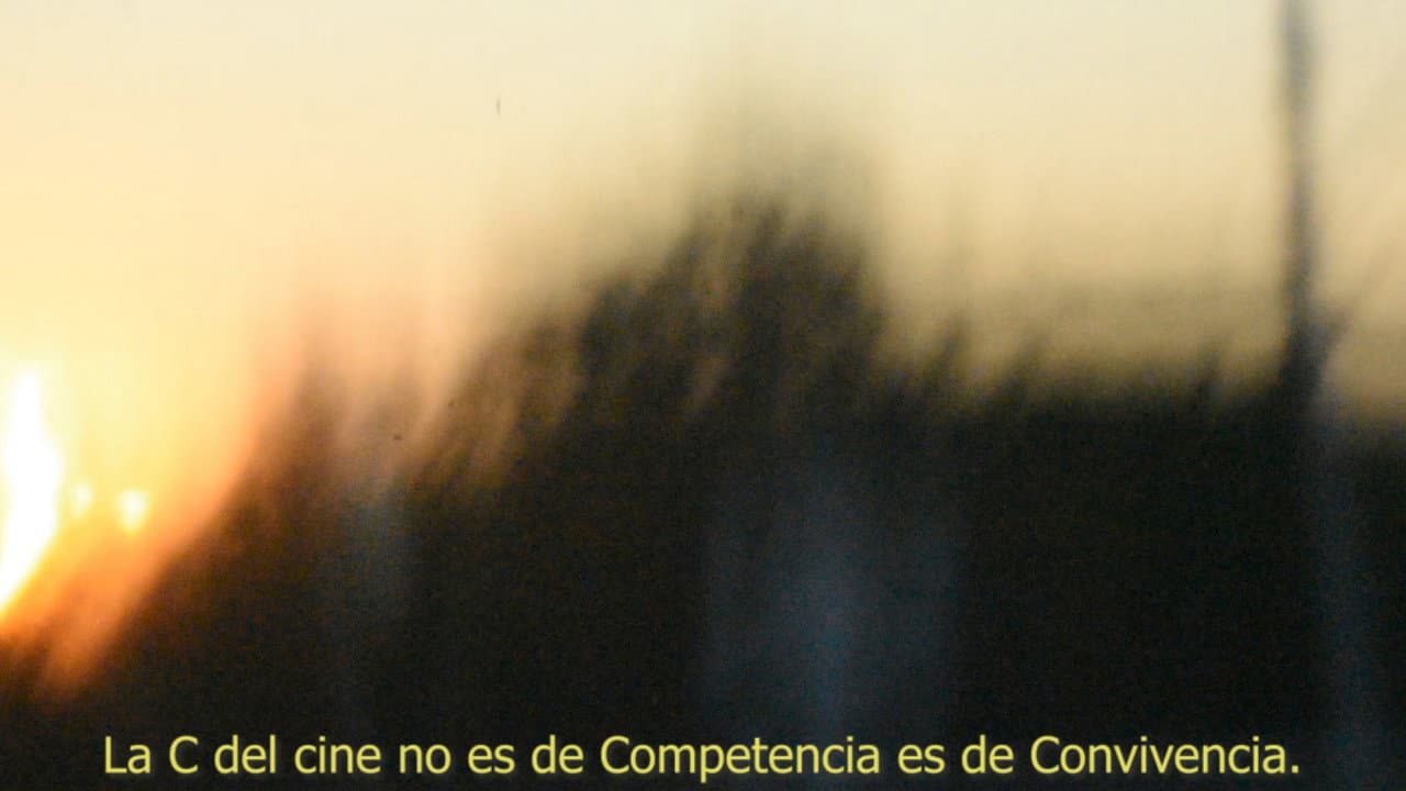 Backdrop – El retratar la vida de Mekas y el retratarse en la vida de Varda