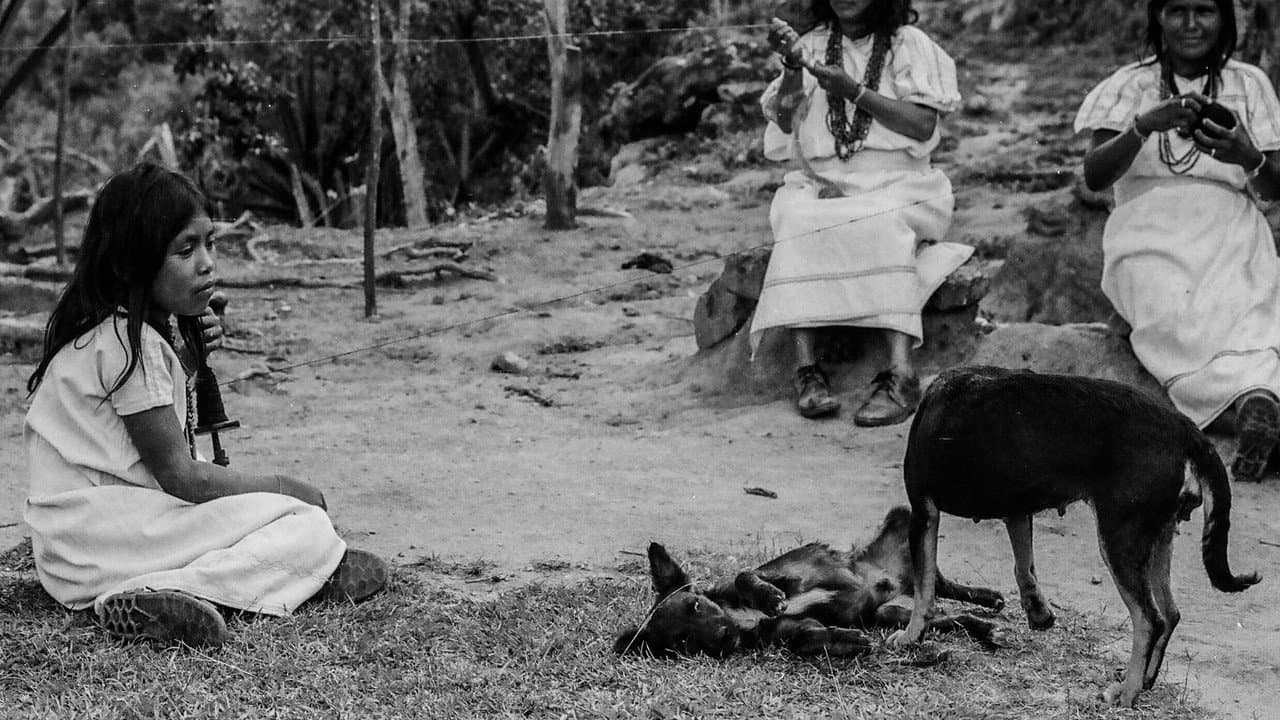 Backdrop – Mi perro muerto