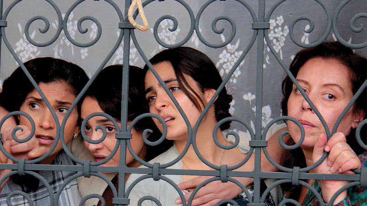 Backdrop – El Jaida