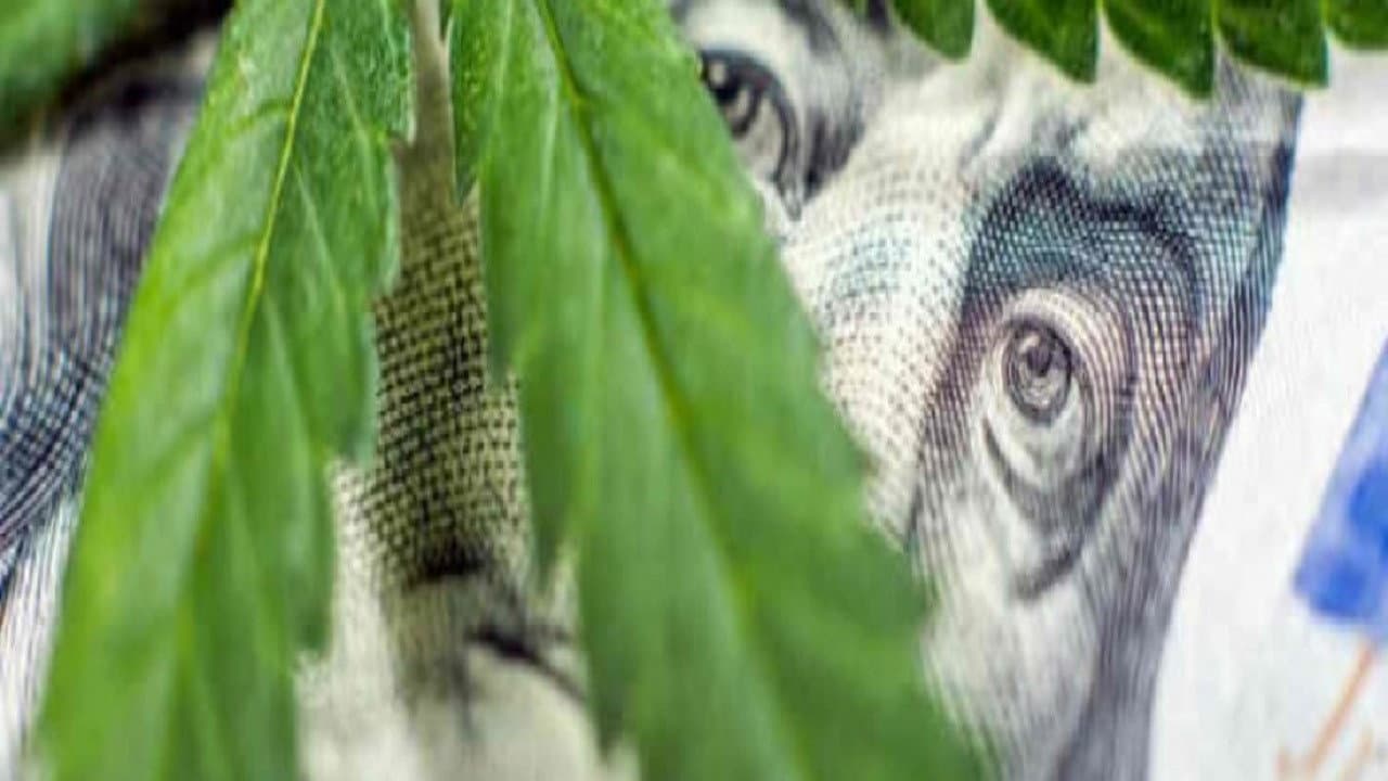 Backdrop – Cannabis : quand le deal est légal