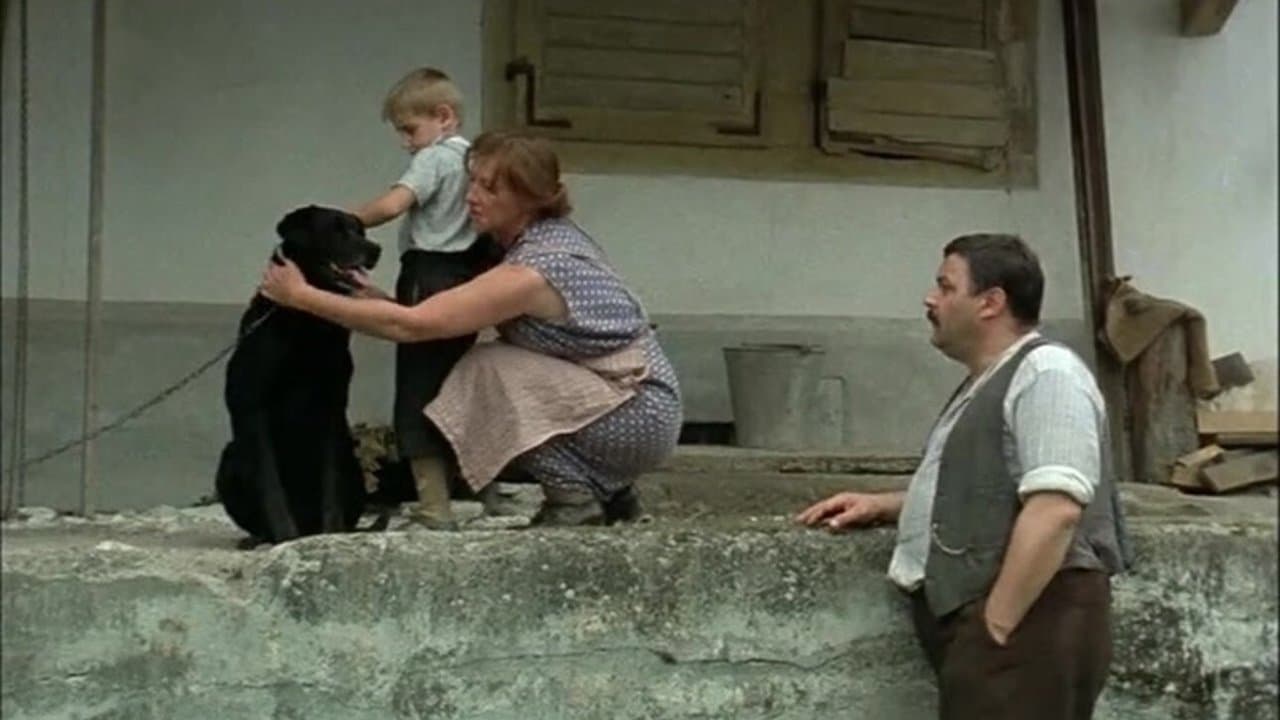 Backdrop – Das Boot ist voll