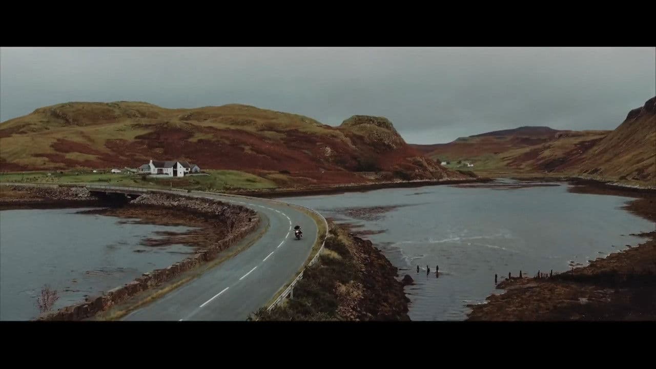 Backdrop – Martin Garrix & Matisse & Sadko - Forever