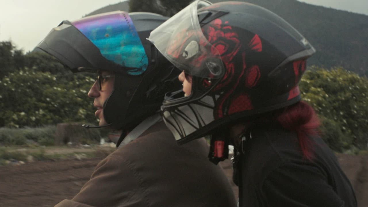 Backdrop – Intransitable